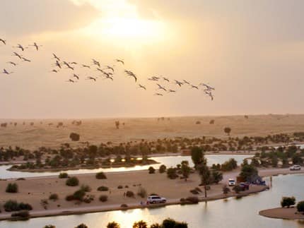 Lagos Al Qudra en Dubái